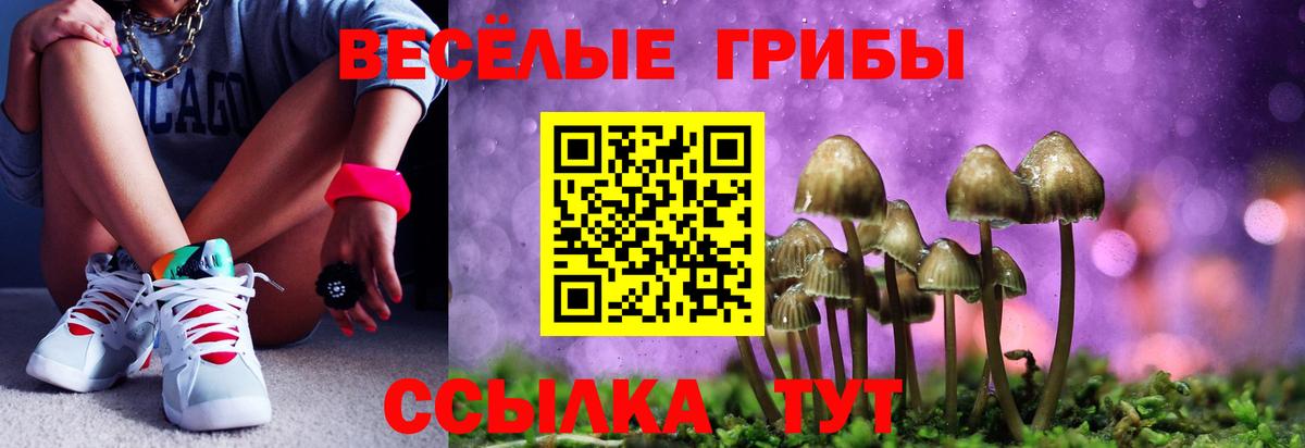 Псилоцибиновые грибы Cubensis Люберцы