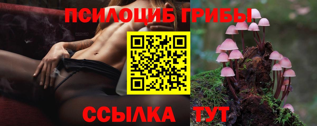 Люберцы  Псилоцибиновые грибы MAGIC MUSHROOMS  Вход с VPN  Галлюциногенные грибы мухоморы 